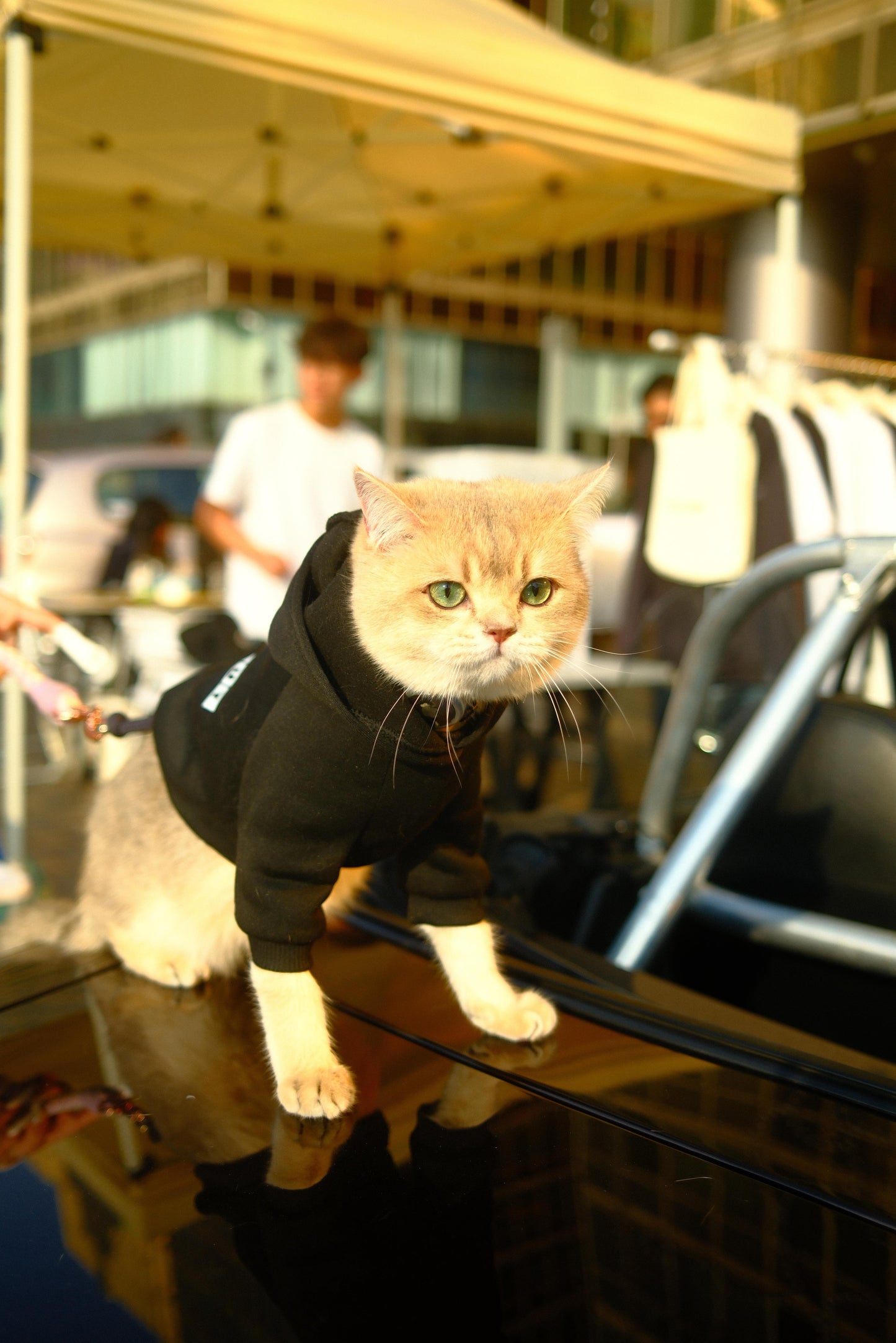 【FlatOut】Flat Out「狗狗衫」黑色寵物連帽衛衣