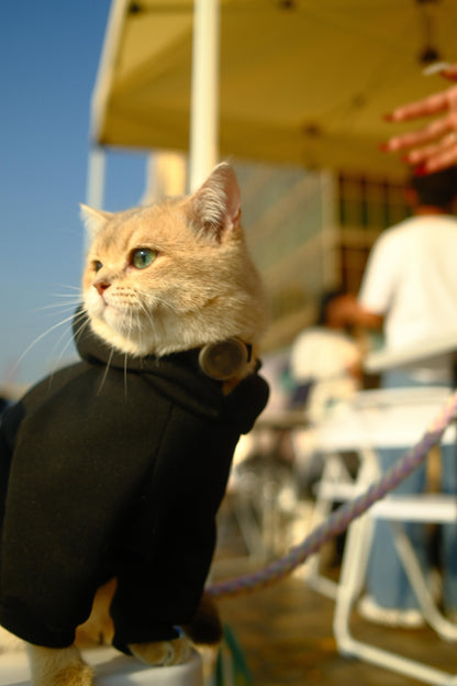 【FlatOut】Flat Out「狗狗衫」黑色寵物連帽衛衣