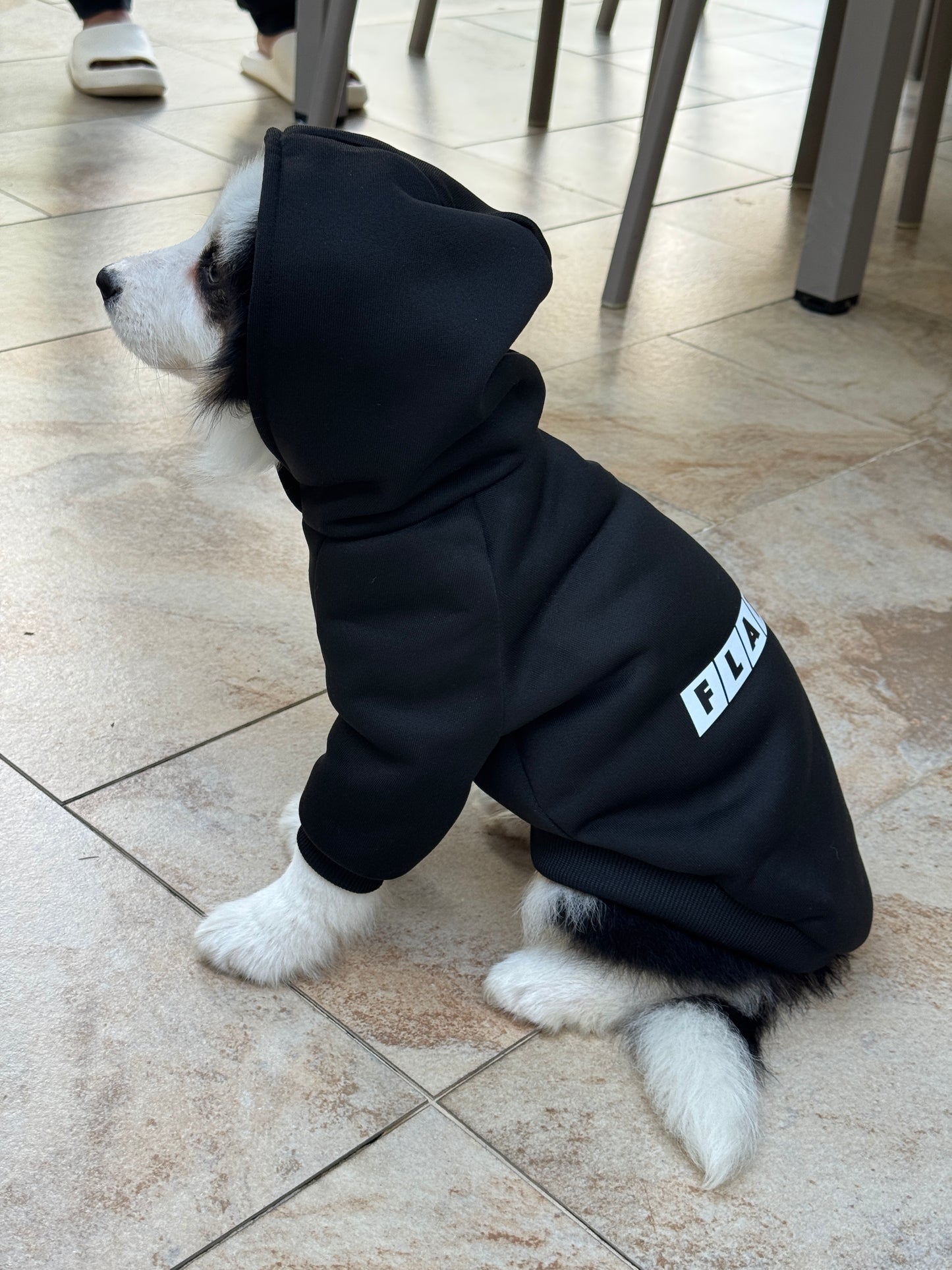 【FlatOut】Flat Out「狗狗衫」黑色寵物連帽衛衣